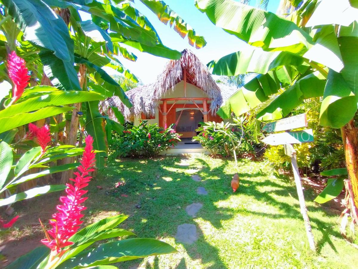 Bed and Breakfast Casa Picaflor Las Terrenas Exterior foto