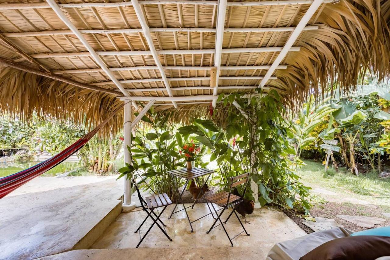 Bed and Breakfast Casa Picaflor Las Terrenas Exterior foto