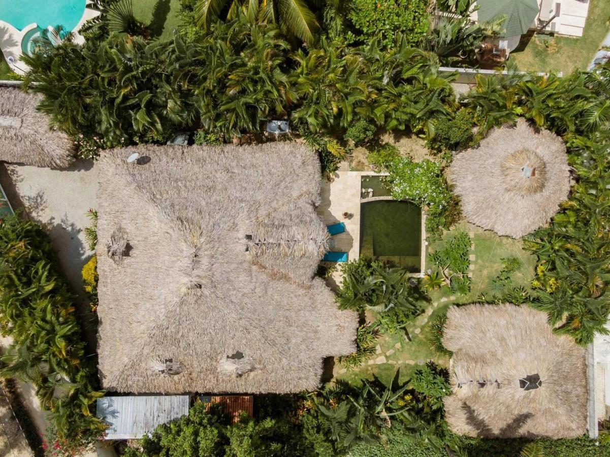 Bed and Breakfast Casa Picaflor Las Terrenas Exterior foto