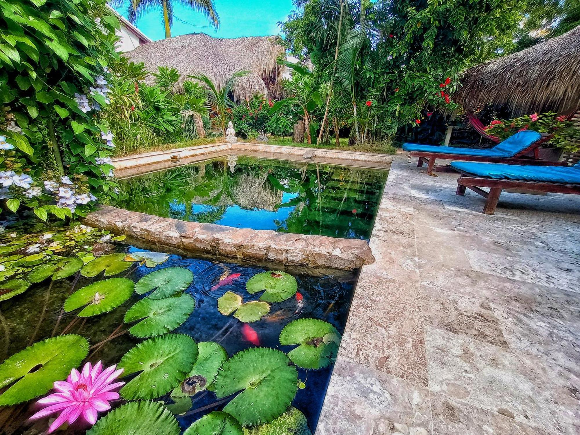 Bed and Breakfast Casa Picaflor Las Terrenas Exterior foto