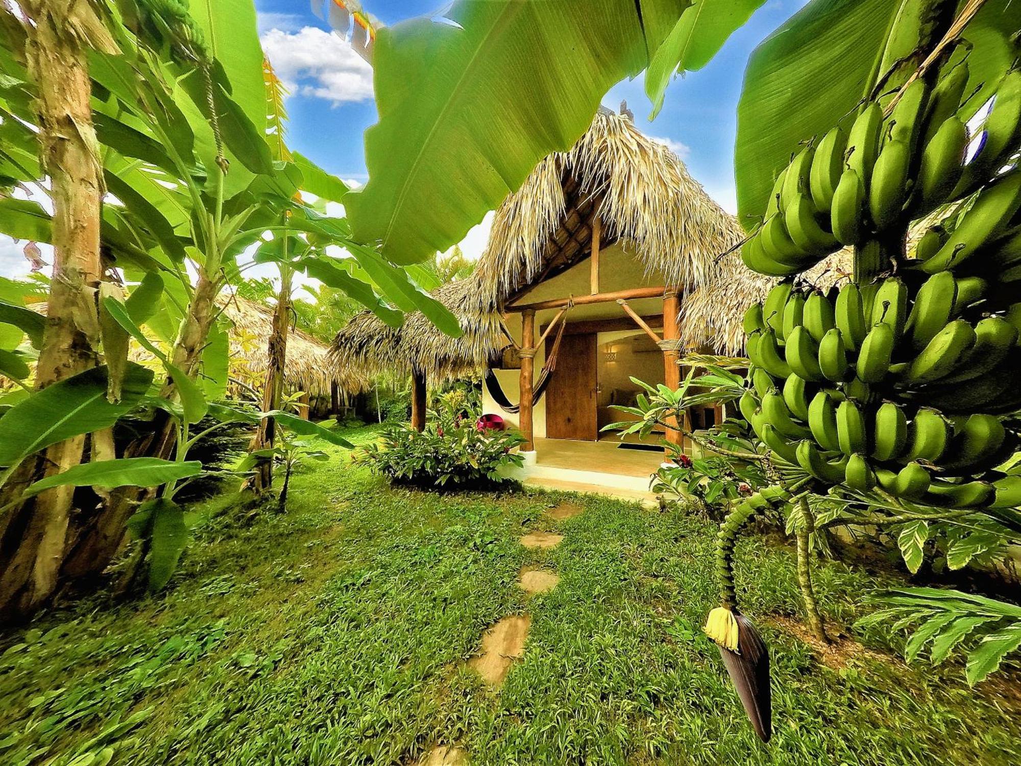Bed and Breakfast Casa Picaflor Las Terrenas Exterior foto