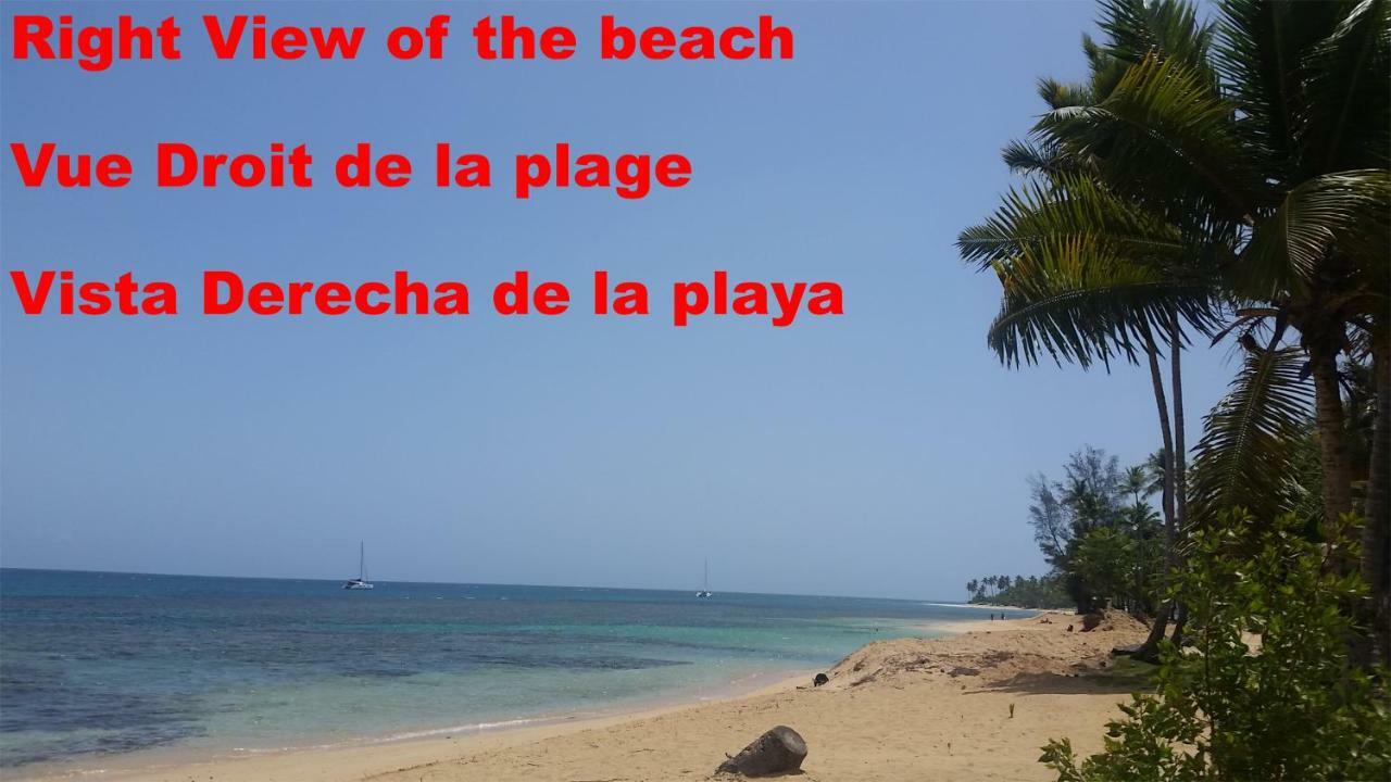 Bed and Breakfast Casa Picaflor Las Terrenas Exterior foto